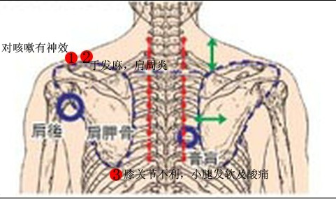 QQ图片20150728.png